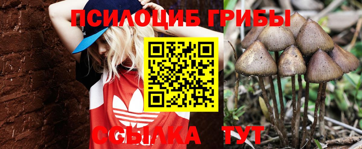 хочу   Псилоцибиновые грибы прущие грибы  Галлюциногенные грибы Psilocybine cubensis  Вход с VPN  Заводоуковск 