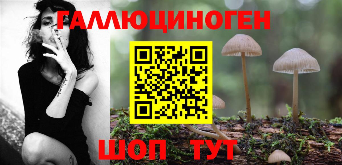 Псилоцибиновые грибы Psilocybine cubensis Заводоуковск